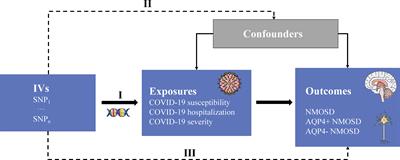 COVID-19 and the risk of neuromyelitis optica spectrum disorder: a Mendelian randomization study